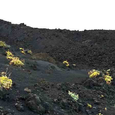 La Palma Lejlighed *